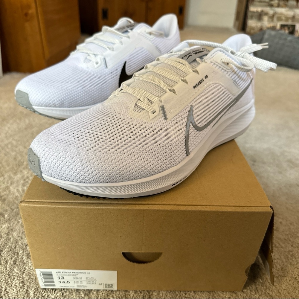 Air Zoom Pegasus 40 Size 13